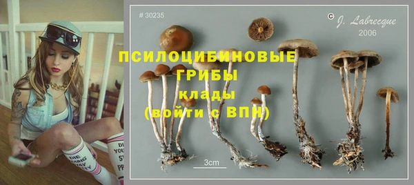 прущие грибы Остров