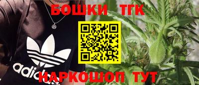 прущие крисы Кандалакша