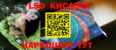 прущие крисы Кандалакша