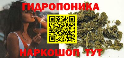 прущие крисы Кандалакша