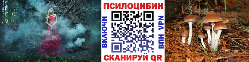 где продают наркотики hydra ссылка Псилоцибиновые грибы прущие грибы Сухой Лог