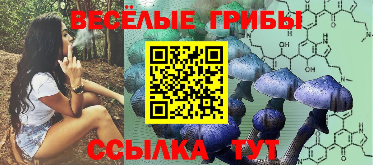 Сухой Лог  Псилоцибиновые грибы MAGIC MUSHROOMS  наркота  Вход с VPN 