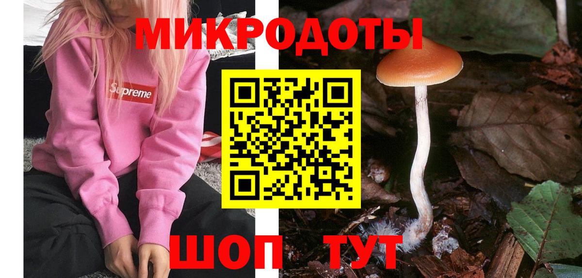 Псилоцибиновые грибы ЛСД Сухой Лог
